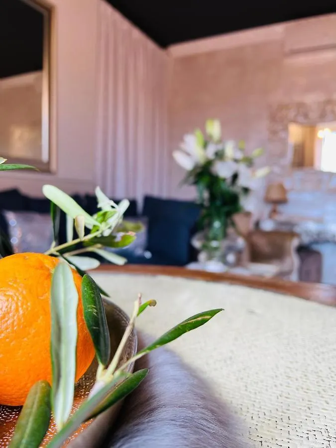 La Dolce Vita Luxury II Apartments With Best Free Private Parking In Center Pola Croazia